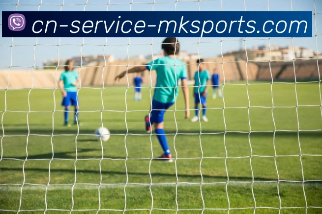 MK体育服务体系